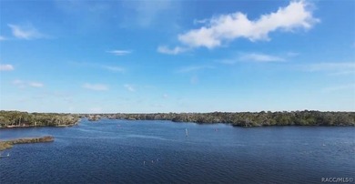 Homosassa Island Living on the Homosassa River - Your Escape to - photo 31