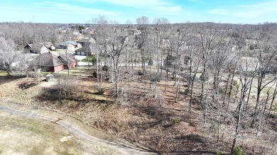 Double lots #19 and #20 located in the desirable Apache Heights - photo 6