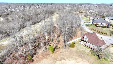 Double lots #19 and #20 located in the desirable Apache Heights - photo 8