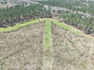 This 284.9+/- acre tract in Franklin County, Mississippi offers - photo 2