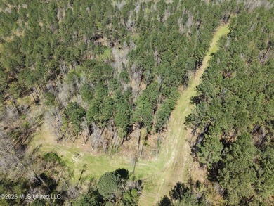 This 284.9+/- acre tract in Franklin County, Mississippi offers - photo 3