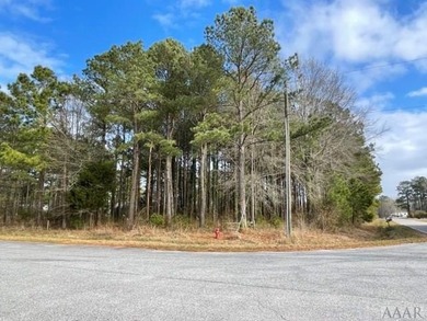 Discover the possibilities with this unique 4.4-acre wooded - photo 4