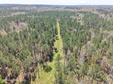 This 284.9+/- acre tract in Franklin County, Mississippi offers - photo 6
