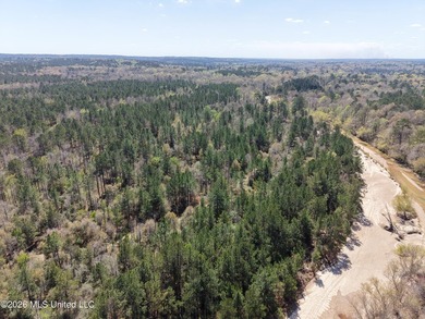 This 284.9+/- acre tract in Franklin County, Mississippi offers - photo 9