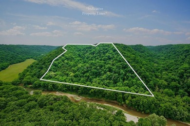 Discover 21.5 acres of untouched Tennessee countryside on Spring - photo 1