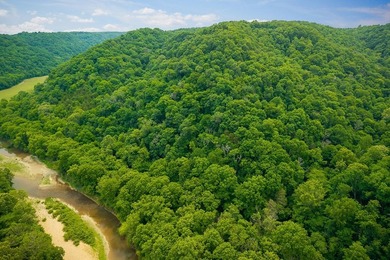 Discover 21.5 acres of untouched Tennessee countryside on Spring - photo 2