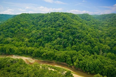 Discover 21.5 acres of untouched Tennessee countryside on Spring - photo 3