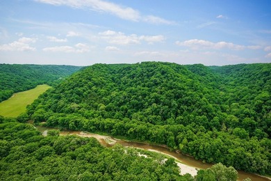 Discover 21.5 acres of untouched Tennessee countryside on Spring - photo 4