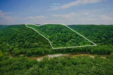 Discover 21.5 acres of untouched Tennessee countryside on Spring - photo 5