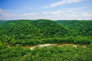 Discover 21.5 acres of untouched Tennessee countryside on Spring - photo 6