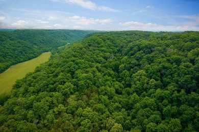 Discover 21.5 acres of untouched Tennessee countryside on Spring - photo 7