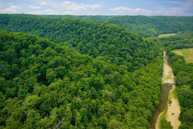 Discover 21.5 acres of untouched Tennessee countryside on Spring - photo 8