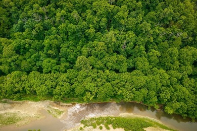 Discover 21.5 acres of untouched Tennessee countryside on Spring - photo 9