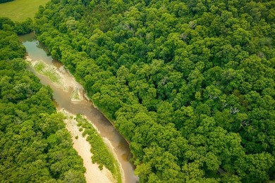 Discover 21.5 acres of untouched Tennessee countryside on Spring - photo 10