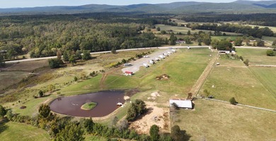 (private lake, pond, creek) Commercial For Sale in Mena Arkansas