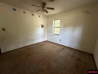 Opportunity awaits in Bull Shoals with this 3 bedroom, 2 bath - photo 14
