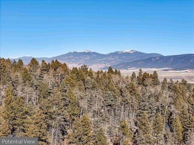 Beautiful single-family equestrian offering with the option to - photo 14