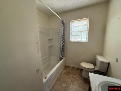 Opportunity awaits in Bull Shoals with this 3 bedroom, 2 bath - photo 16