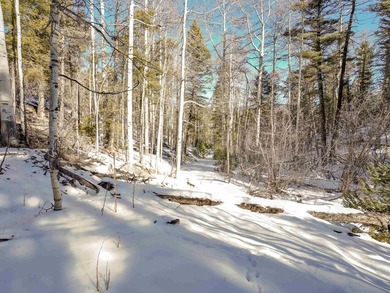 Beautiful single-family equestrian offering with the option to - photo 37