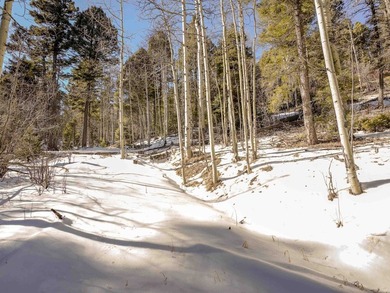 Beautiful single-family equestrian offering with the option to - photo 38
