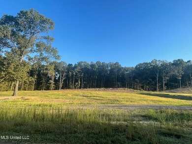 Gorgeous and Private 2.7 Acre Lot in the Incomparable, gated - photo 1
