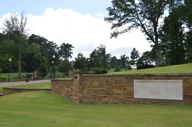 Gorgeous and Private 2.7 Acre Lot in the Incomparable, gated - photo 5