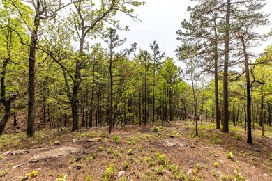 Exciting news! Phase 4 of Timber Ridge Estates is now available - photo 2