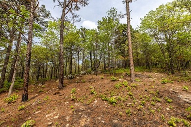 Exciting news! Phase 4 of Timber Ridge Estates is now available - photo 3