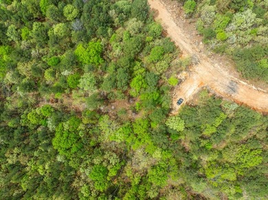 Exciting news! Phase 4 of Timber Ridge Estates is now available - photo 5