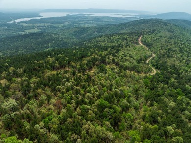Exciting news! Phase 4 of Timber Ridge Estates is now available - photo 6
