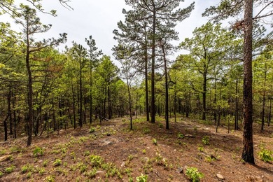 Exciting news! Phase 4 of Timber Ridge Estates is now available - photo 8