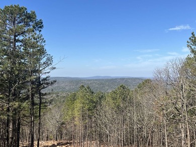 Exciting news! Phase 4 of Timber Ridge Estates is now available - photo 9