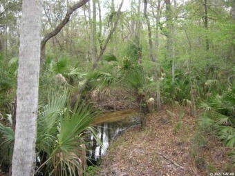 (private lake, pond, creek) Acreage Under Contract in Hawthorne Florida
