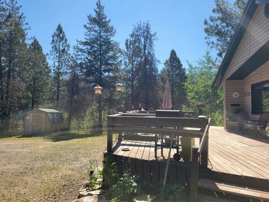 PARADISE! There are no other words. Beautiful, treed, mostly - photo 8