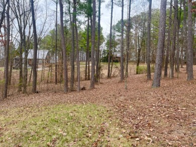 Beautiful Waterfront Lot in Marina Point Subdivision - photo 13