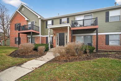(private lake, pond, creek) Condo For Sale in Naperville Illinois