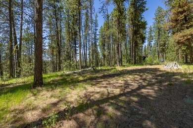 Valley View Lot on Huckleberry Place! Seller financing available - photo 5