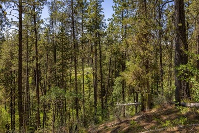 Valley View Lot on Huckleberry Place! Seller financing available - photo 7