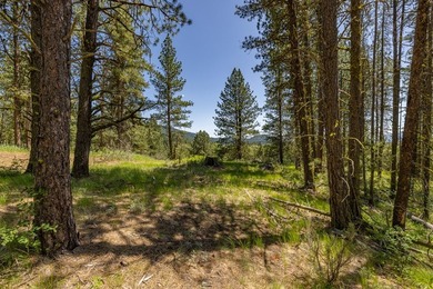 Valley View Lot on Huckleberry Place! Seller financing available - photo 8