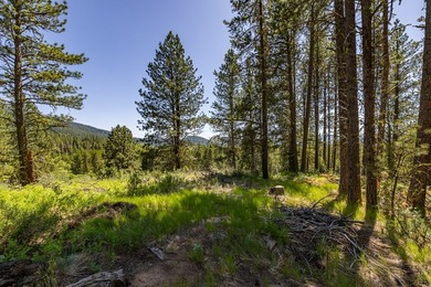 Valley View Lot on Huckleberry Place! Seller financing available - photo 9