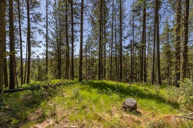 Valley View Lot on Huckleberry Place! Seller financing available - photo 10