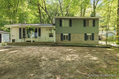 Thomas Lake Home For Sale in Gowen Michigan