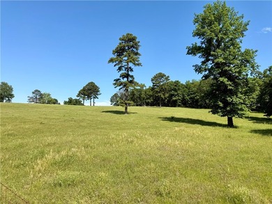 25.5 acres of beautiful, slightly rolling pastureland near Piney - photo 3
