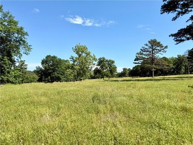 25.5 acres of beautiful, slightly rolling pastureland near Piney - photo 4