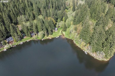 Rare opportunity! Lakefront home on .8 acre with million-dollar - photo 36
