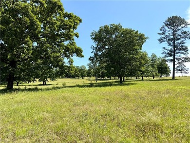 25.5 acres of beautiful, slightly rolling pastureland near Piney - photo 10
