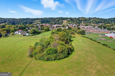 Imagine owning 26.5 private acres with over 2,300 feet of - photo 44