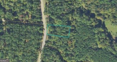 Lake Lot For Sale in Sparta, Georgia