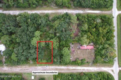 Lake George Lot For Sale in Georgetown Florida