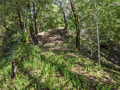 Tucked away in the peaceful redwoods of Boulder Creek, 360 - photo 3